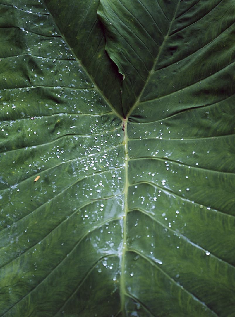 Aude Le Barbey Photographer for Colombie