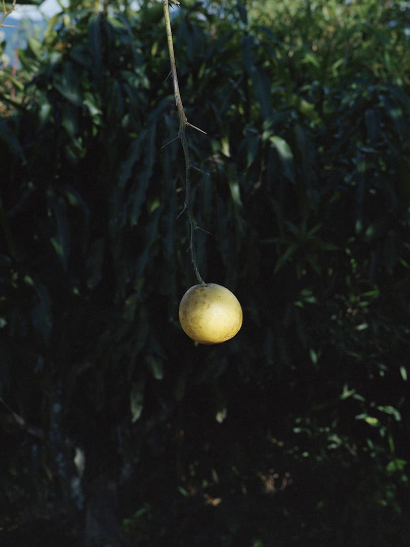 Aude Le Barbey Photographer for Colombie