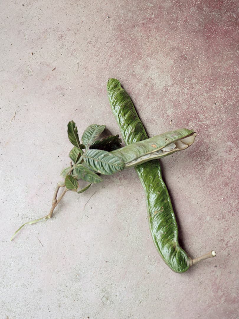 Aude Le Barbey Photographer for Colombie