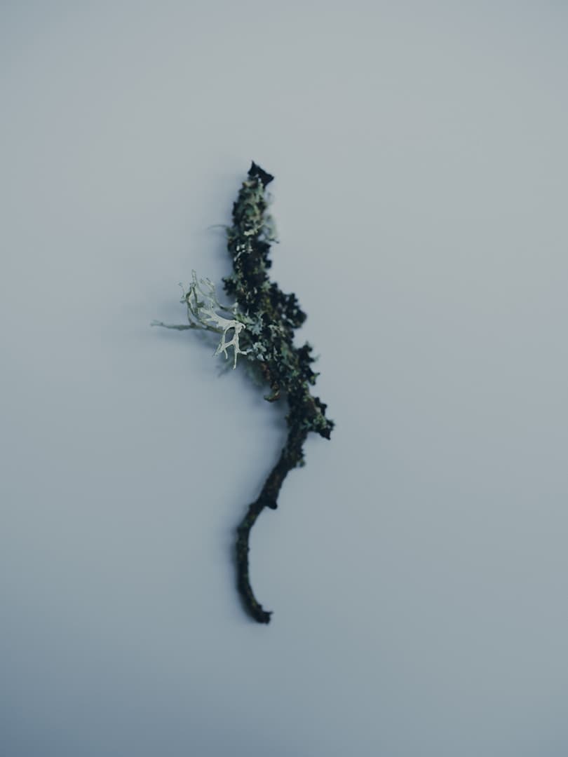 Charlotte Lapalus Photographer for Polène FW23