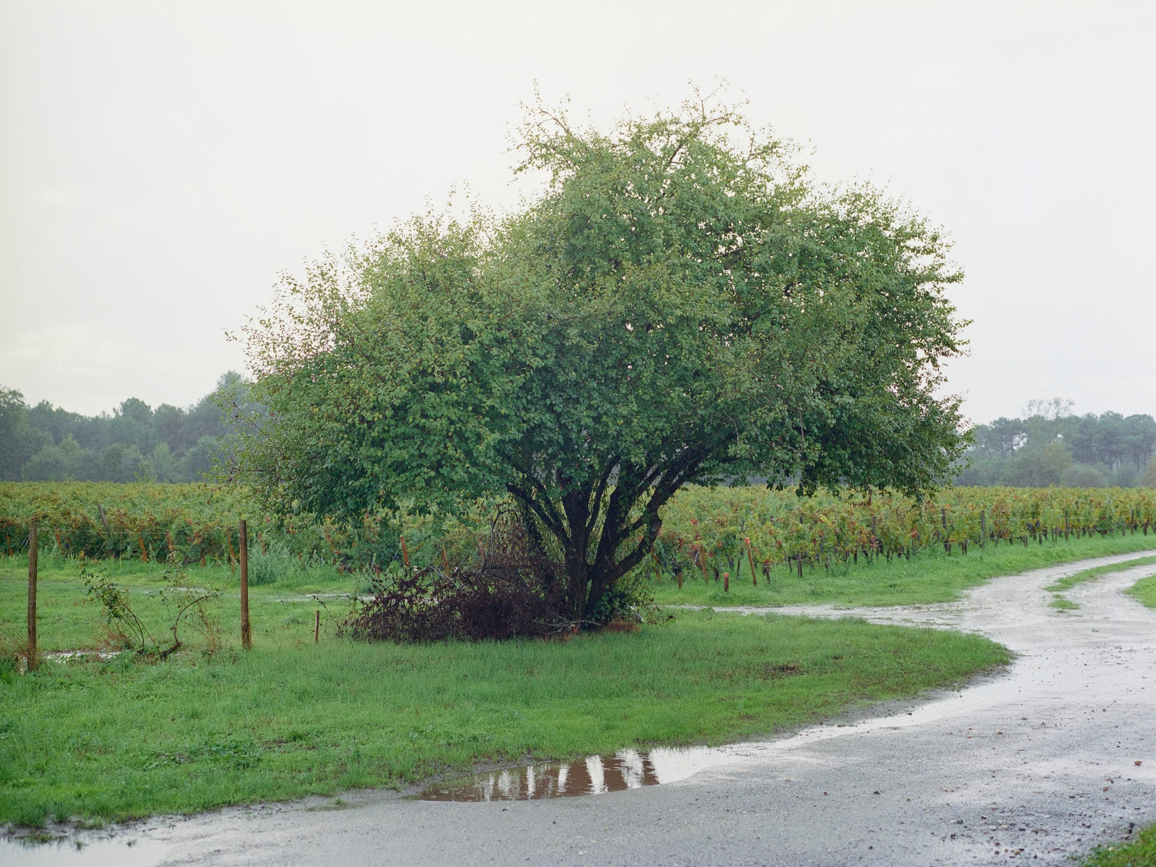 Aude Le Barbey Photographer for Holiday Magazine Interior Garden