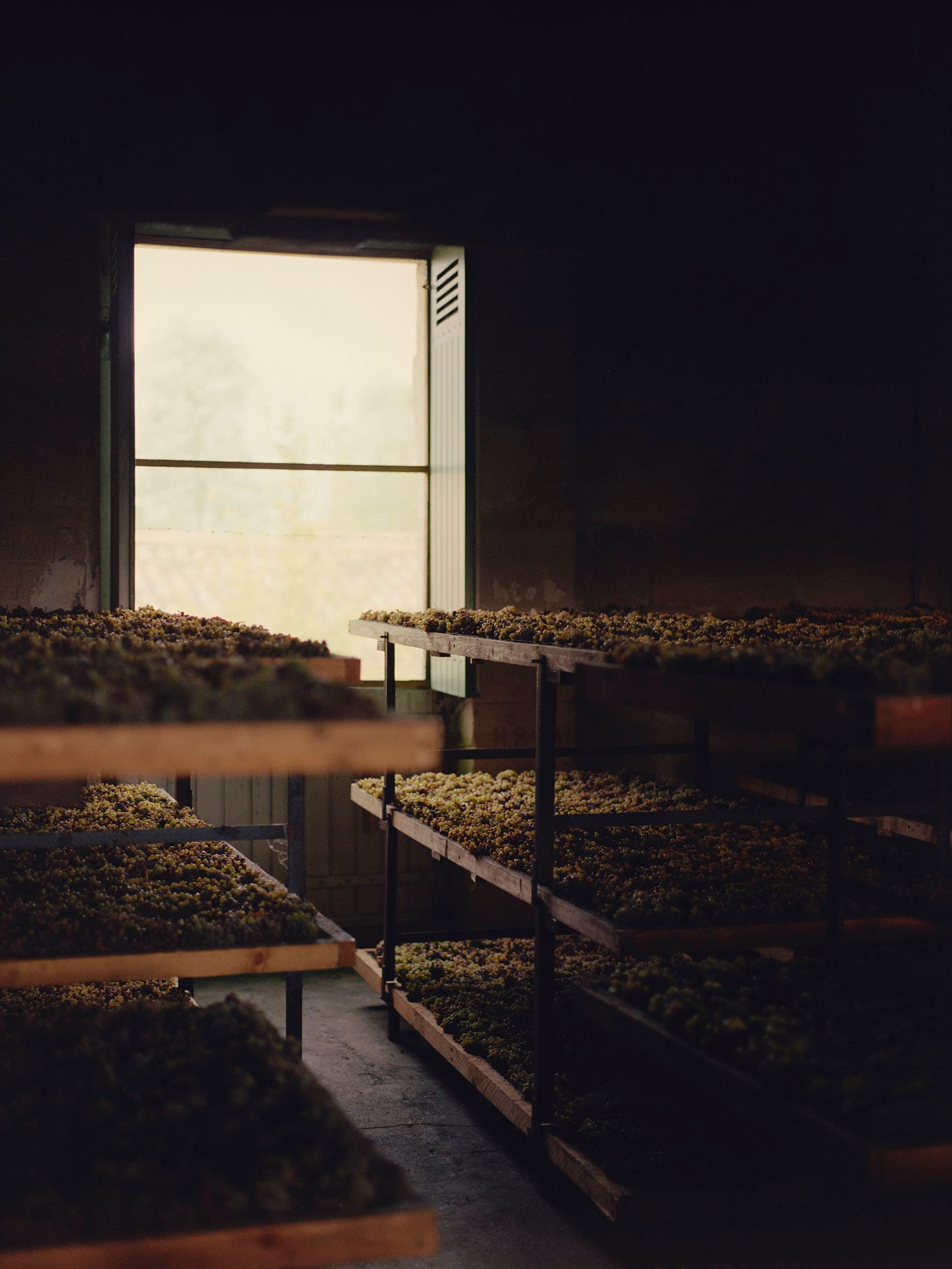 Aude Le Barbey Photographer for Holiday Magazine Interior Garden