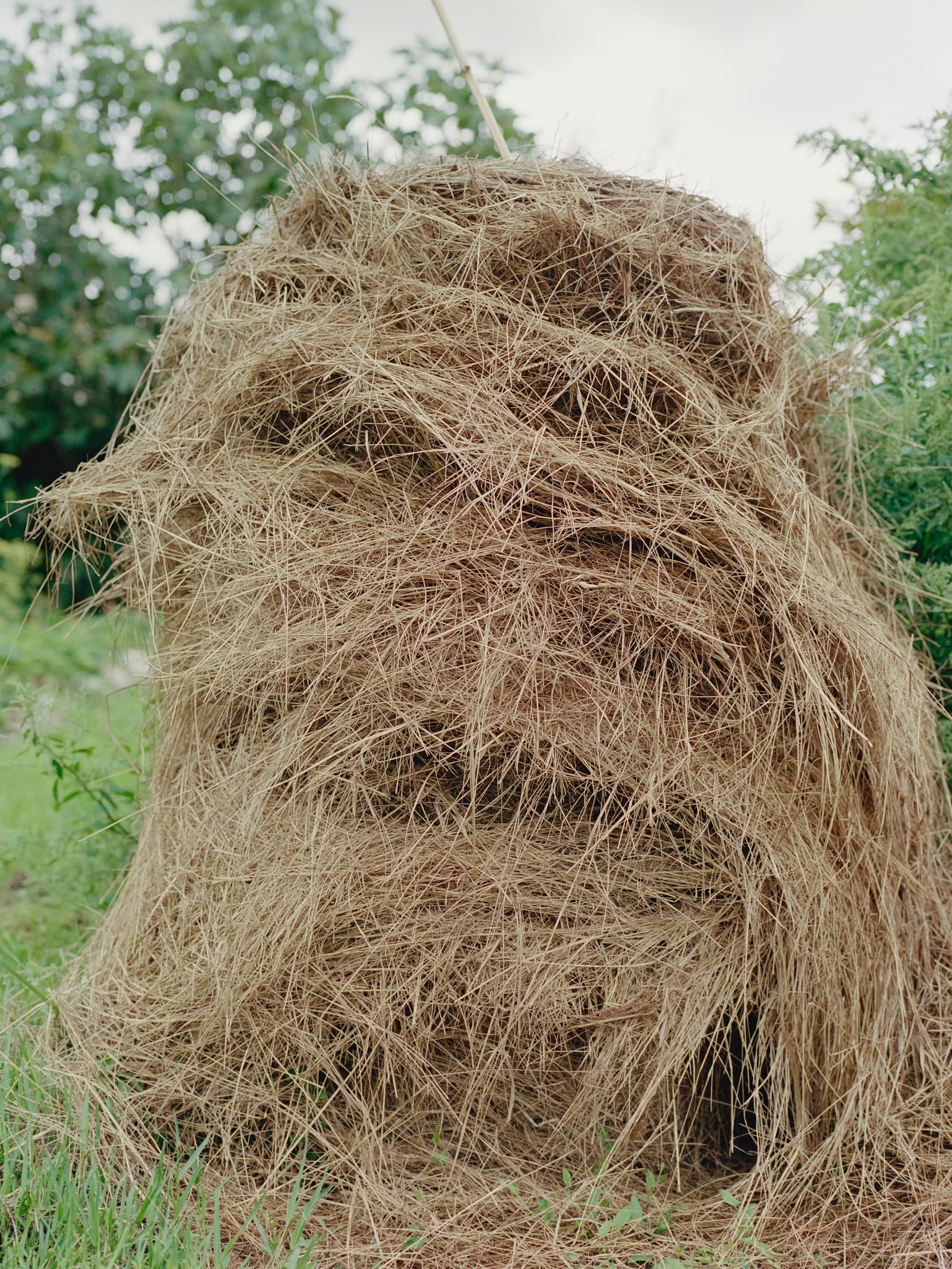 Aude Le Barbey Photographer for Holiday Magazine Interior Garden