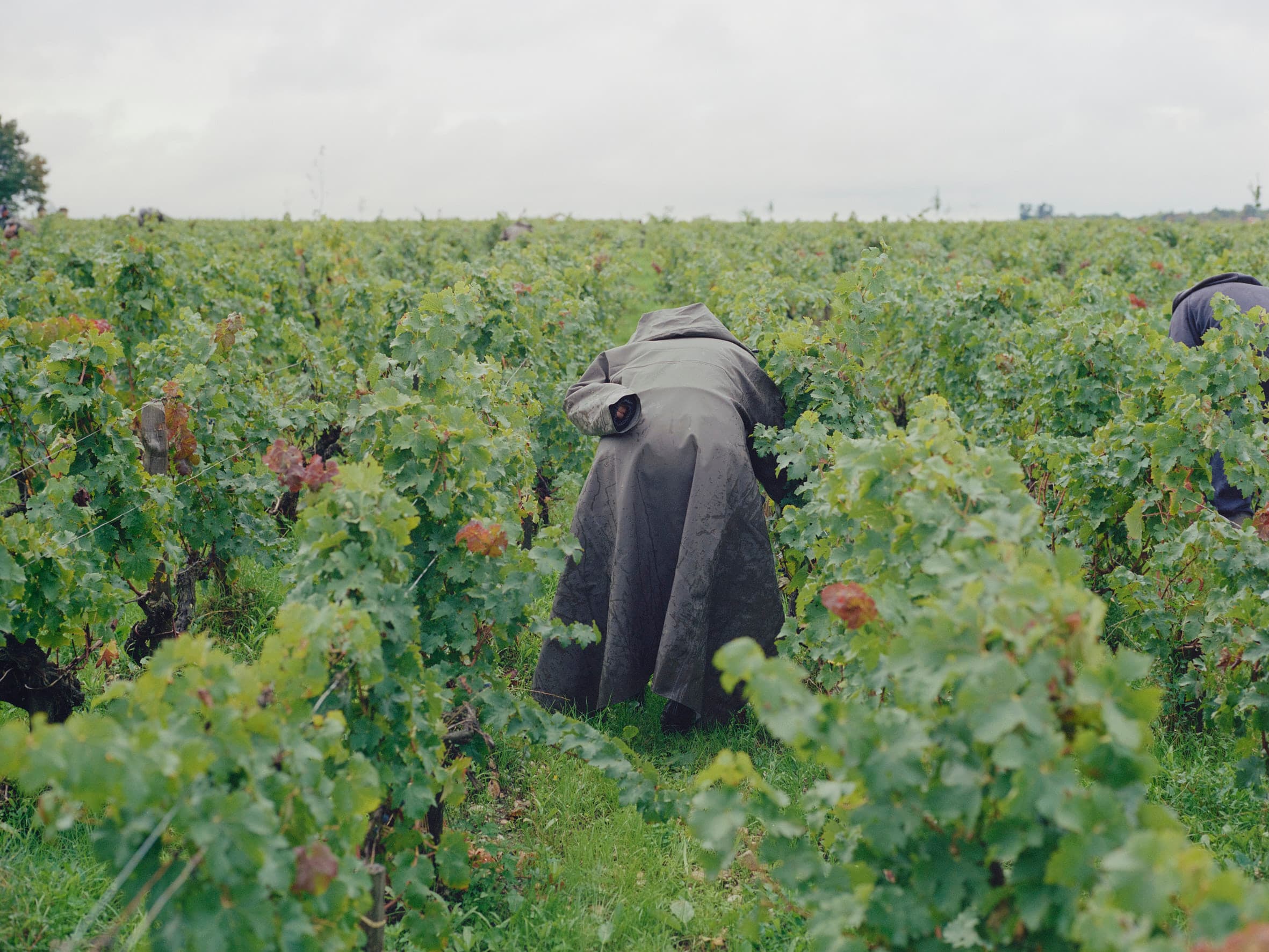 Aude Le Barbey Photographer for Holiday Magazine Interior Garden