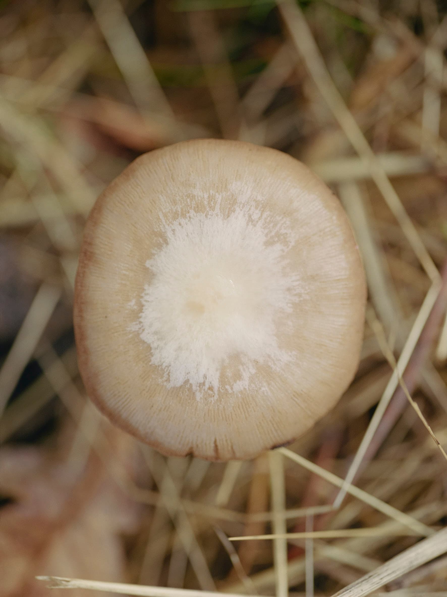 Aude Le Barbey Photographer for Holiday Magazine Interior Garden