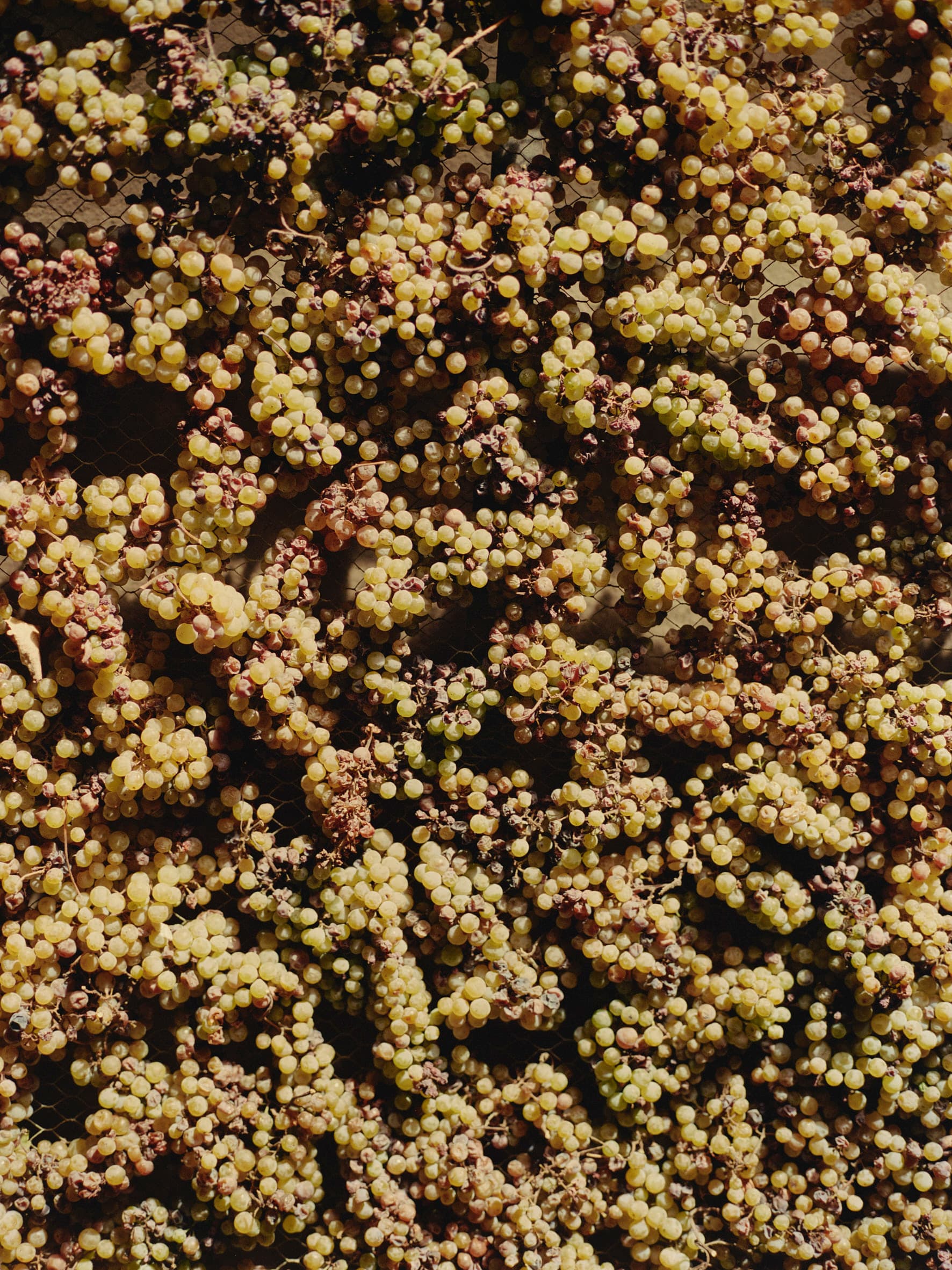 Aude Le Barbey Photographer for Holiday Magazine Interior Garden