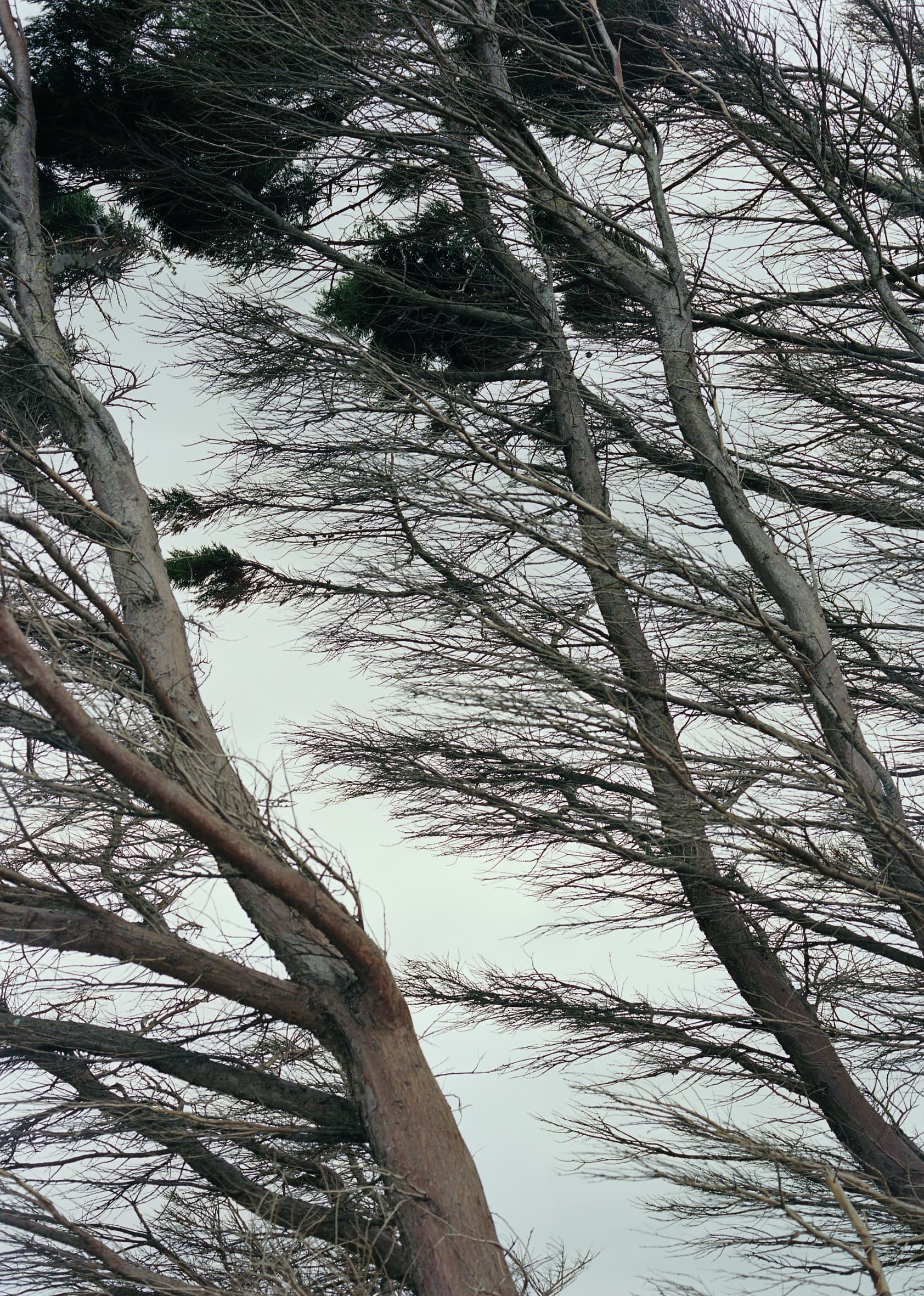 Aude Le Barbey Photographer for Hot Hot Hot