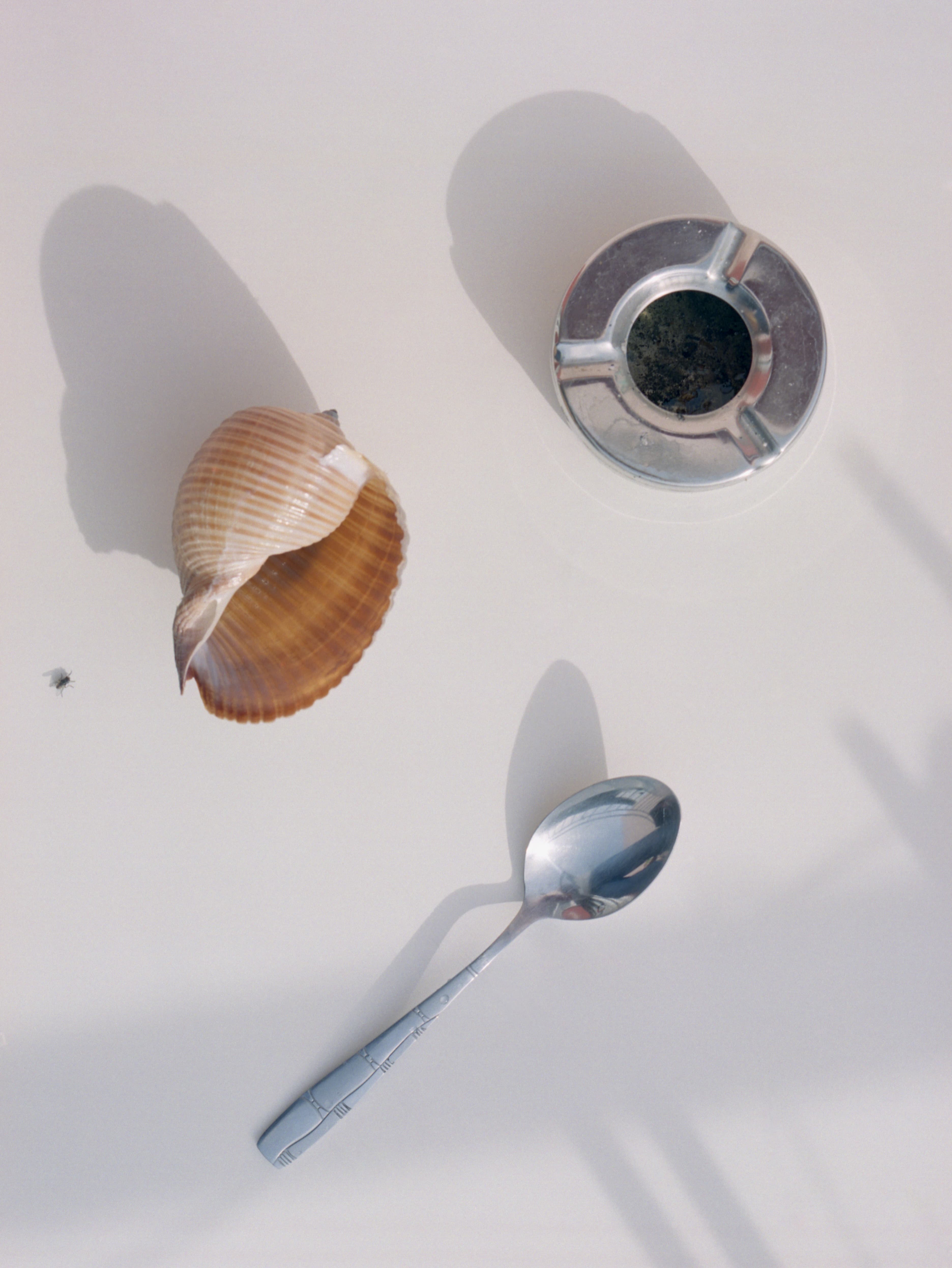 Aude Le Barbey Photographer for Mediteranée