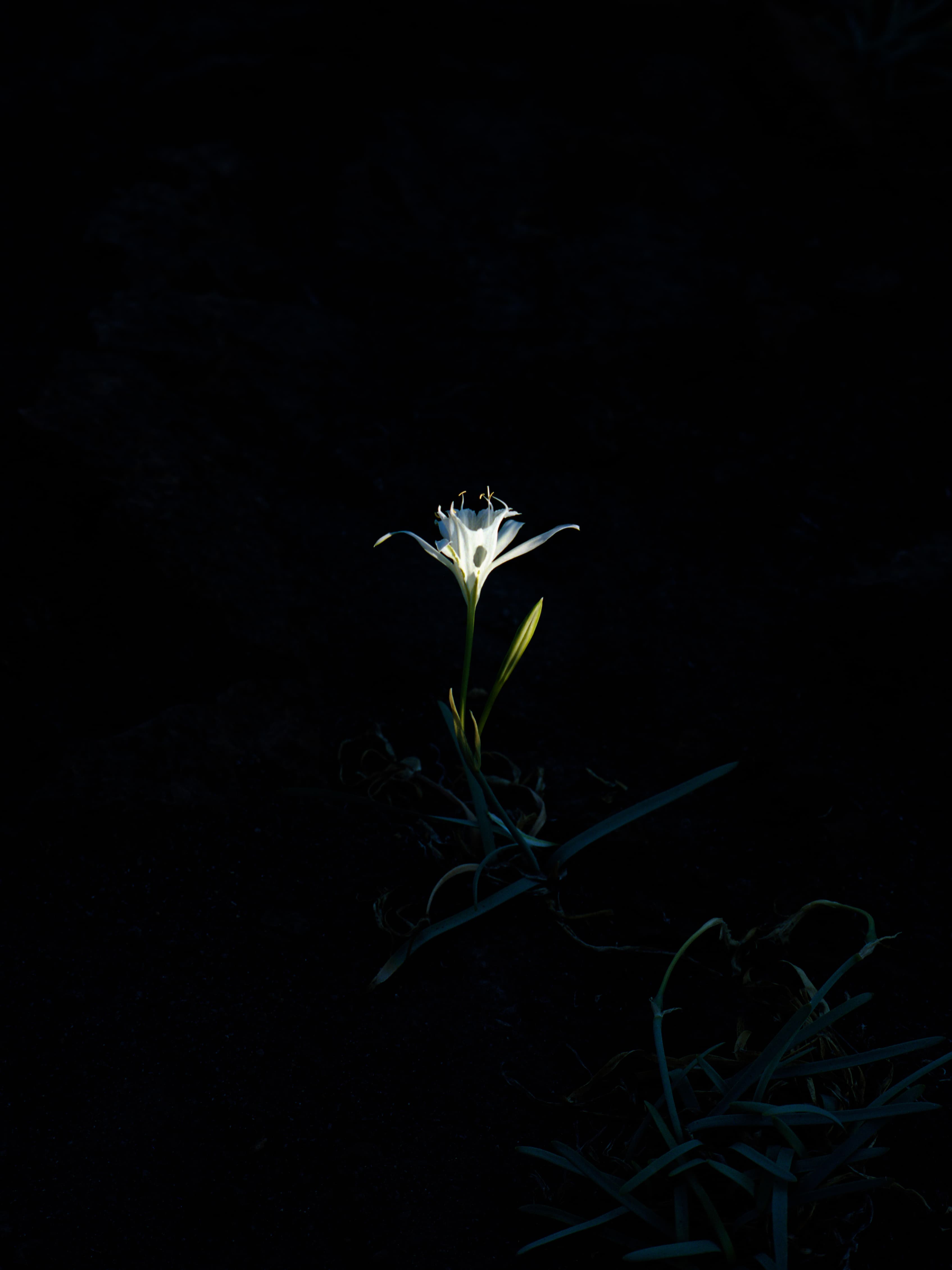 Aude Le Barbey Photographer for Mediteranée