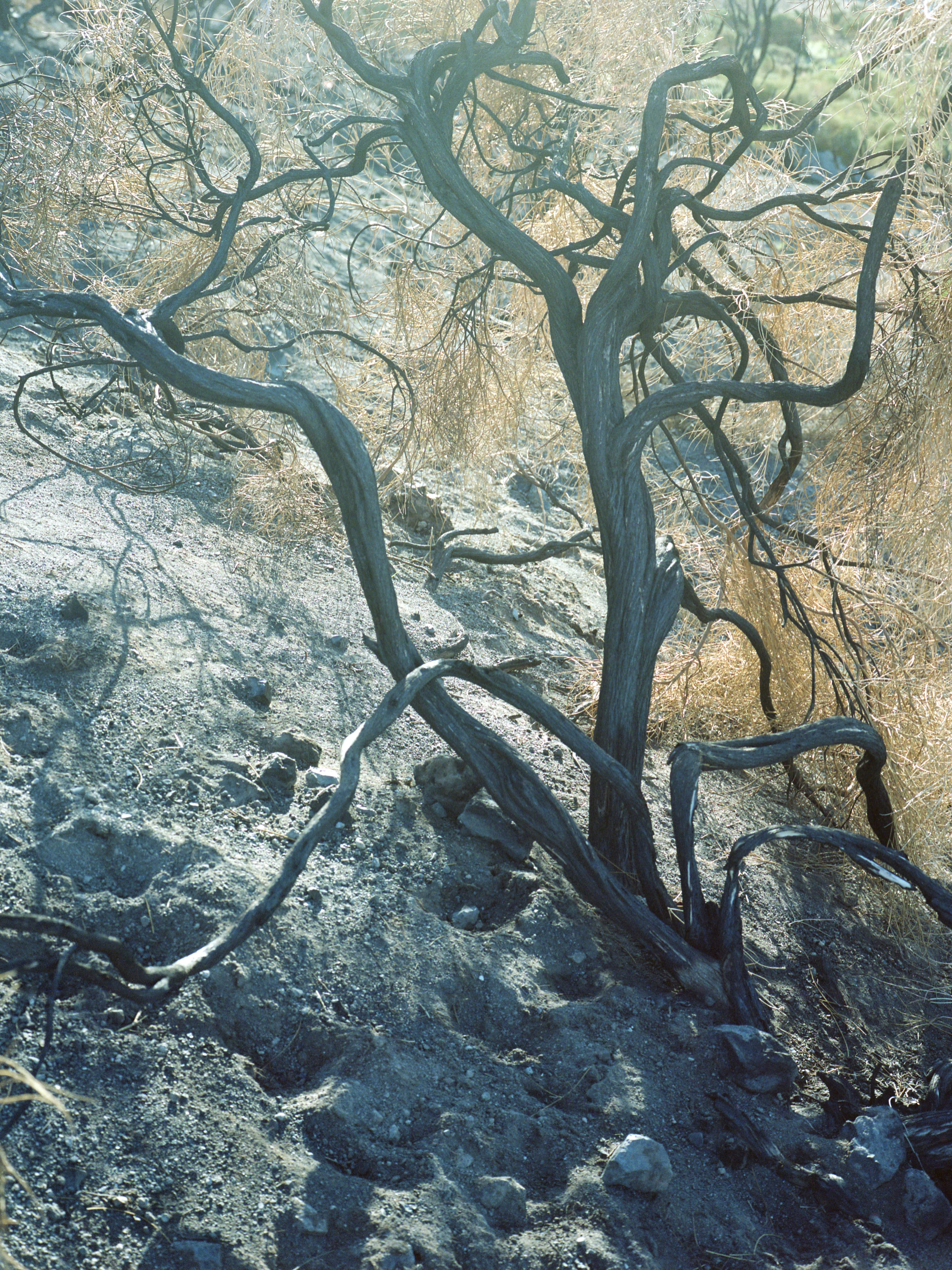 Aude Le Barbey Photographer for Mediteranée