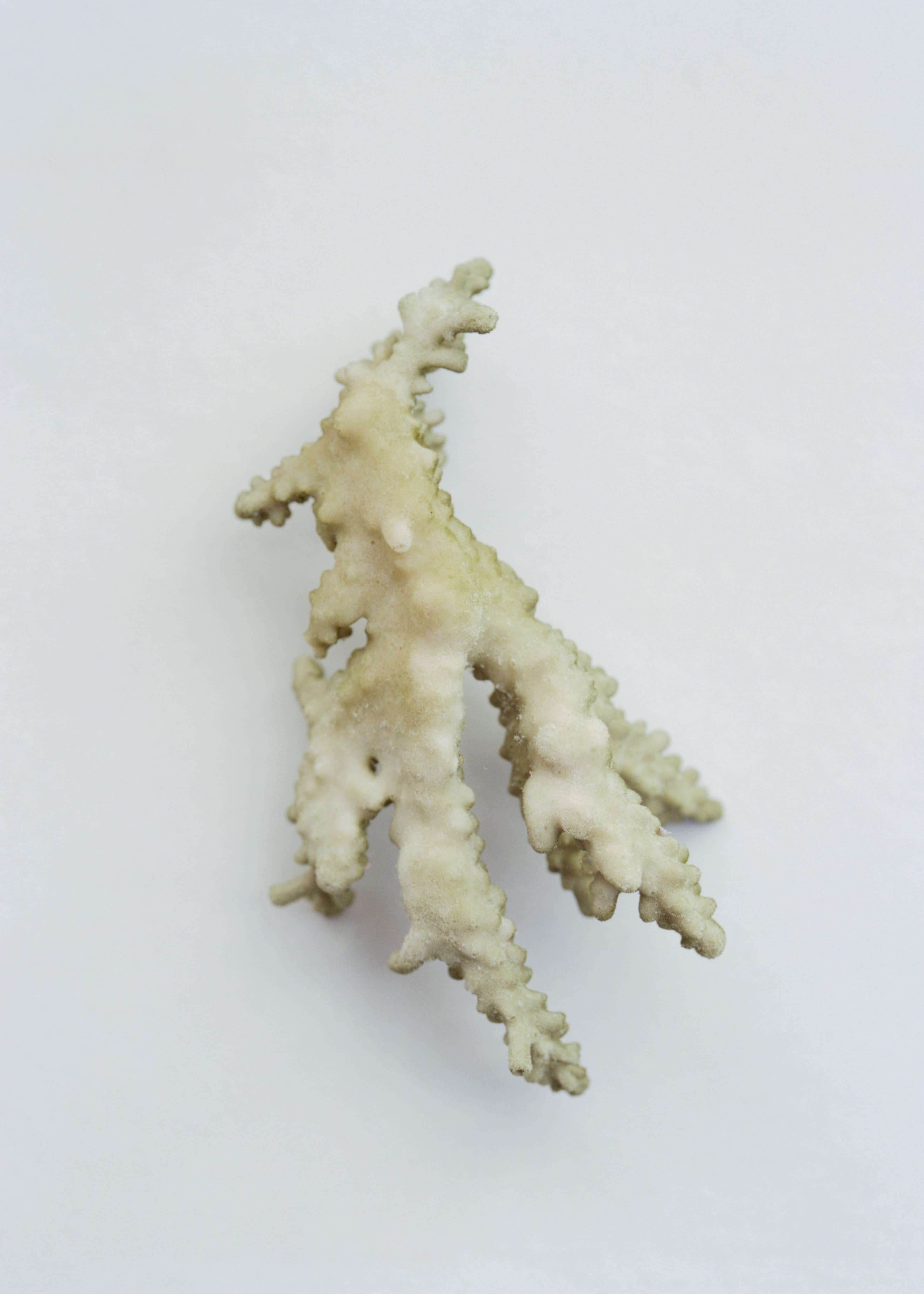 Aude Le Barbey Photographer for Mediteranée