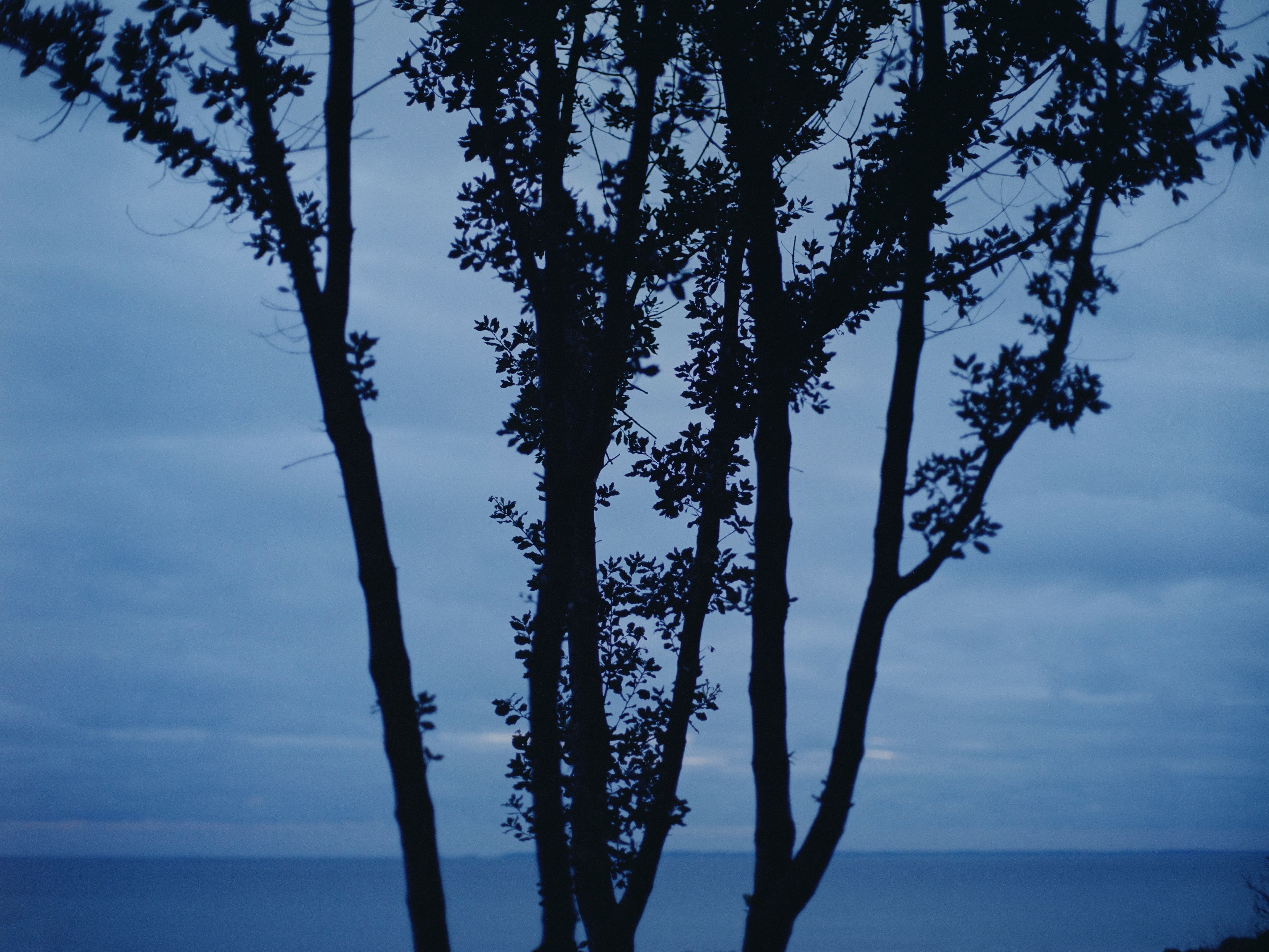 Aude Le Barbey Photographer for Normandie