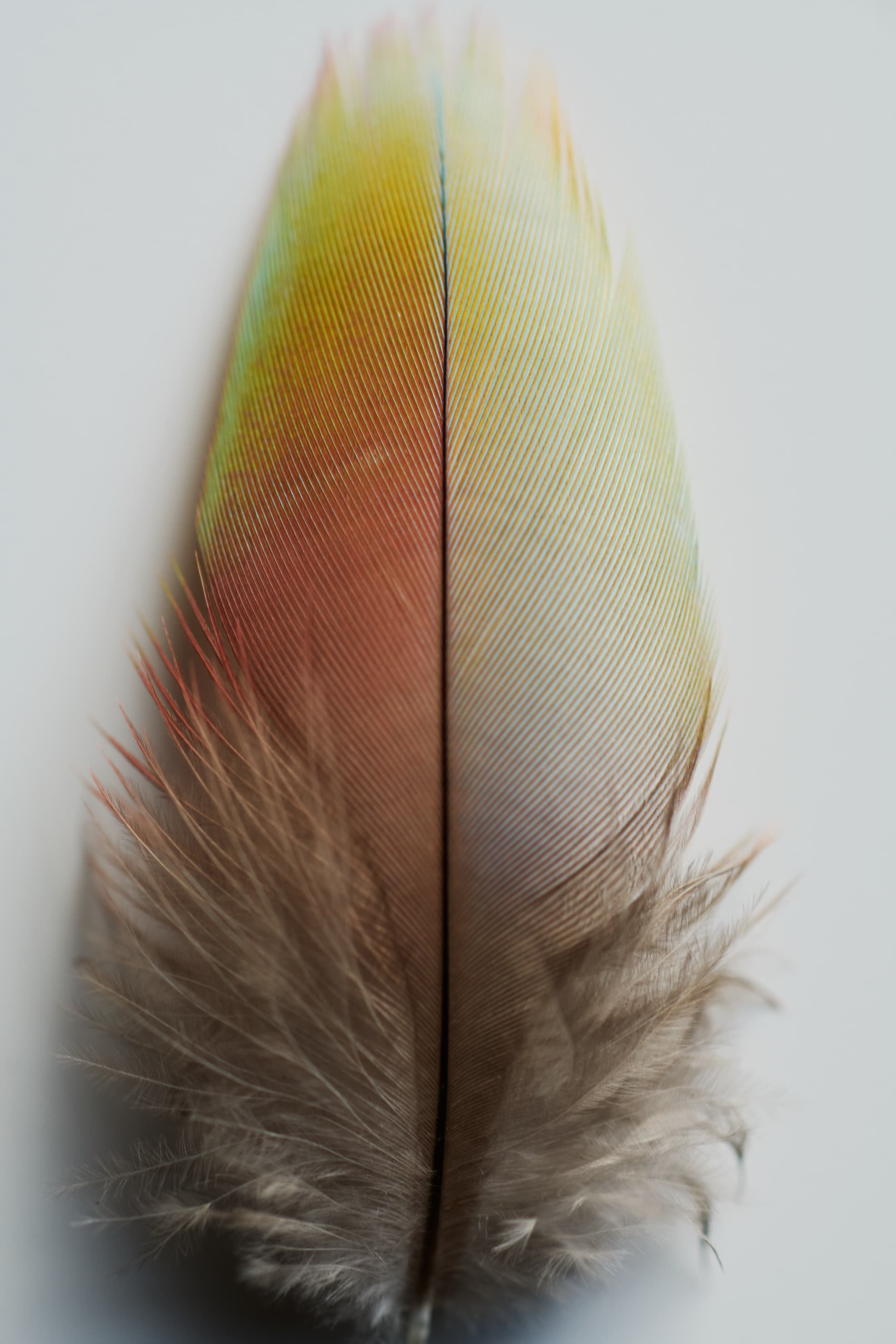 Aude Le Barbey Photographer for Present Space