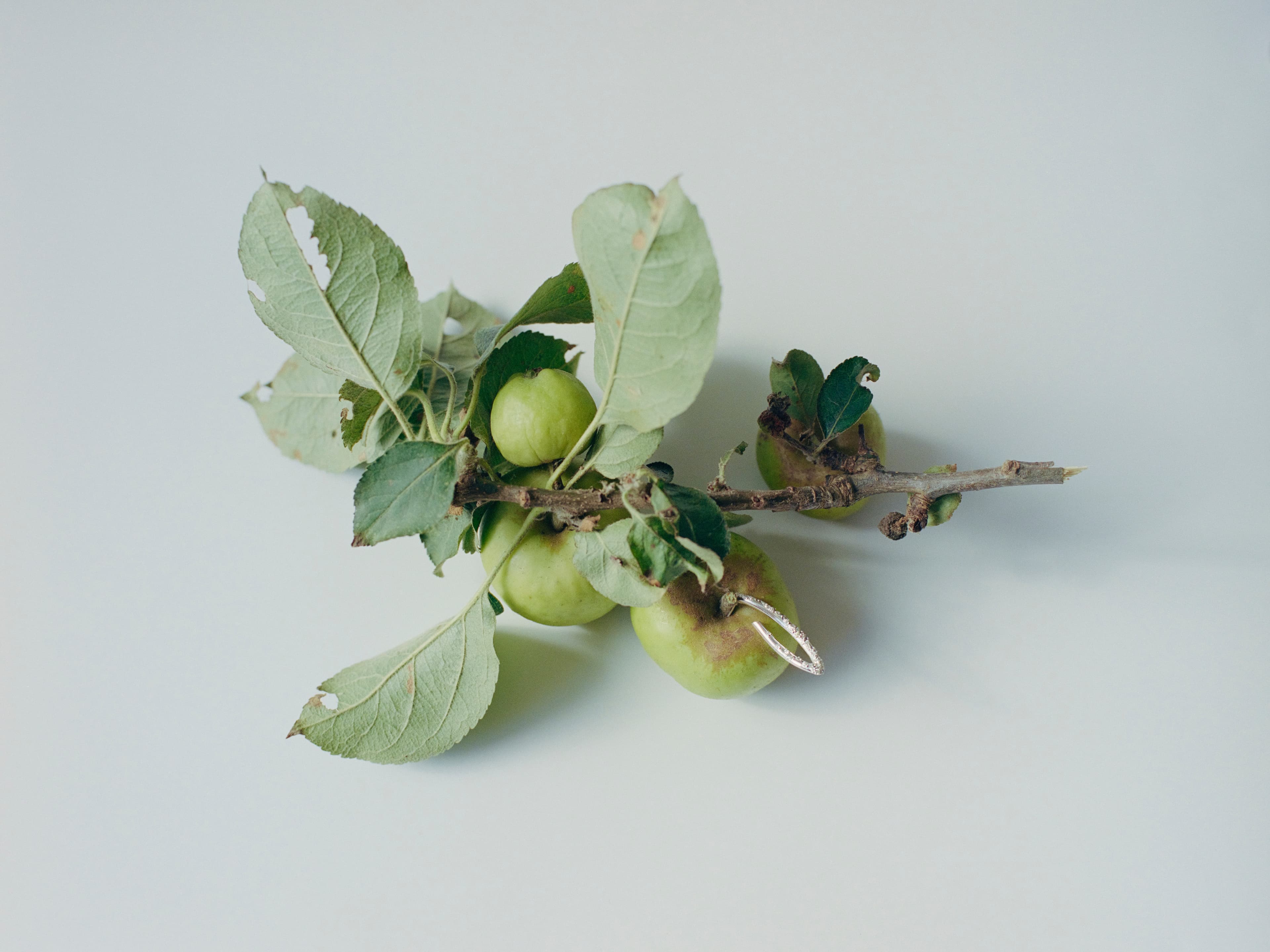 Aude Le Barbey Photographer for Sarah Madeleine Bru