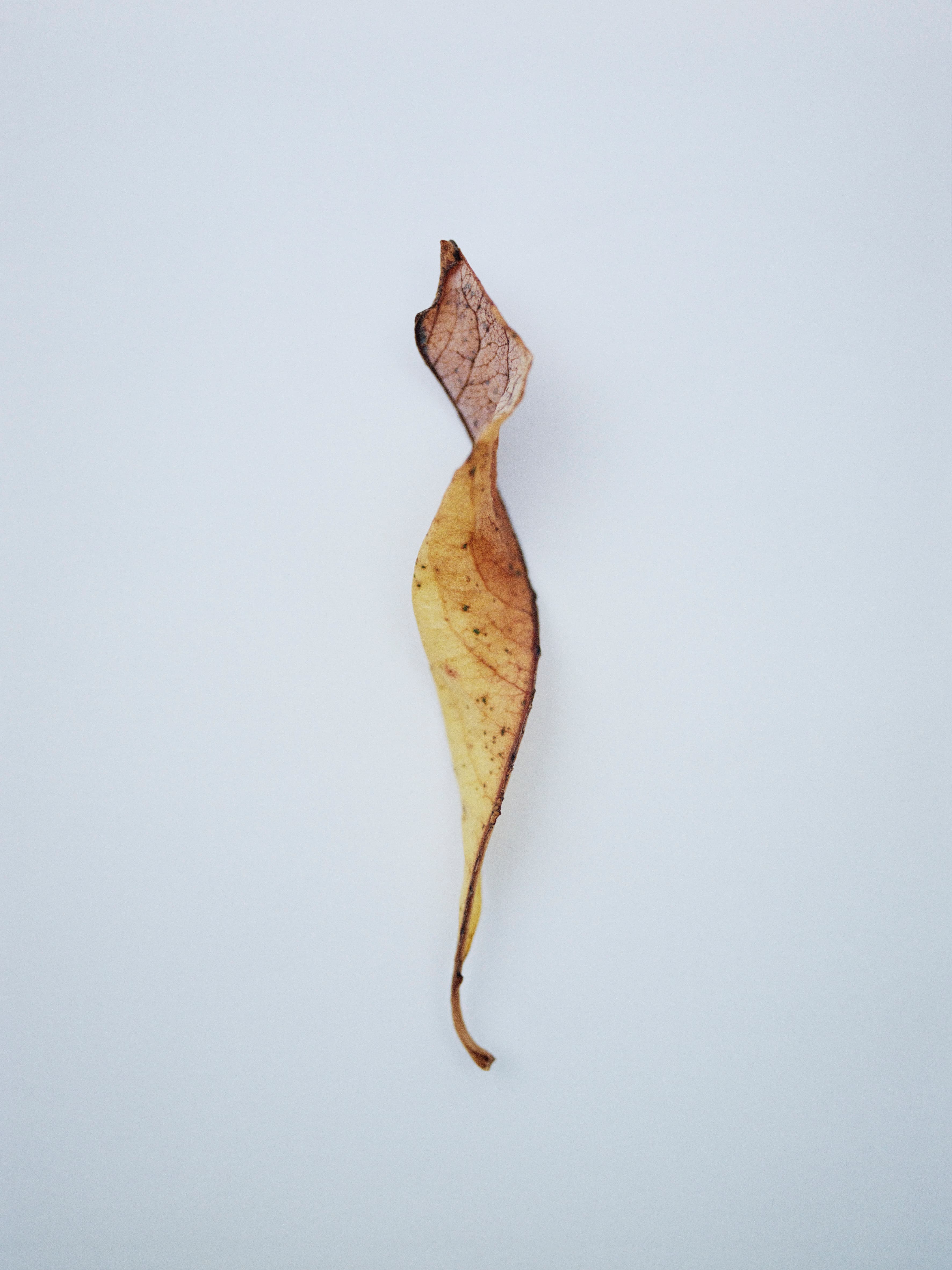 Aude Le Barbey Photographer for Various project