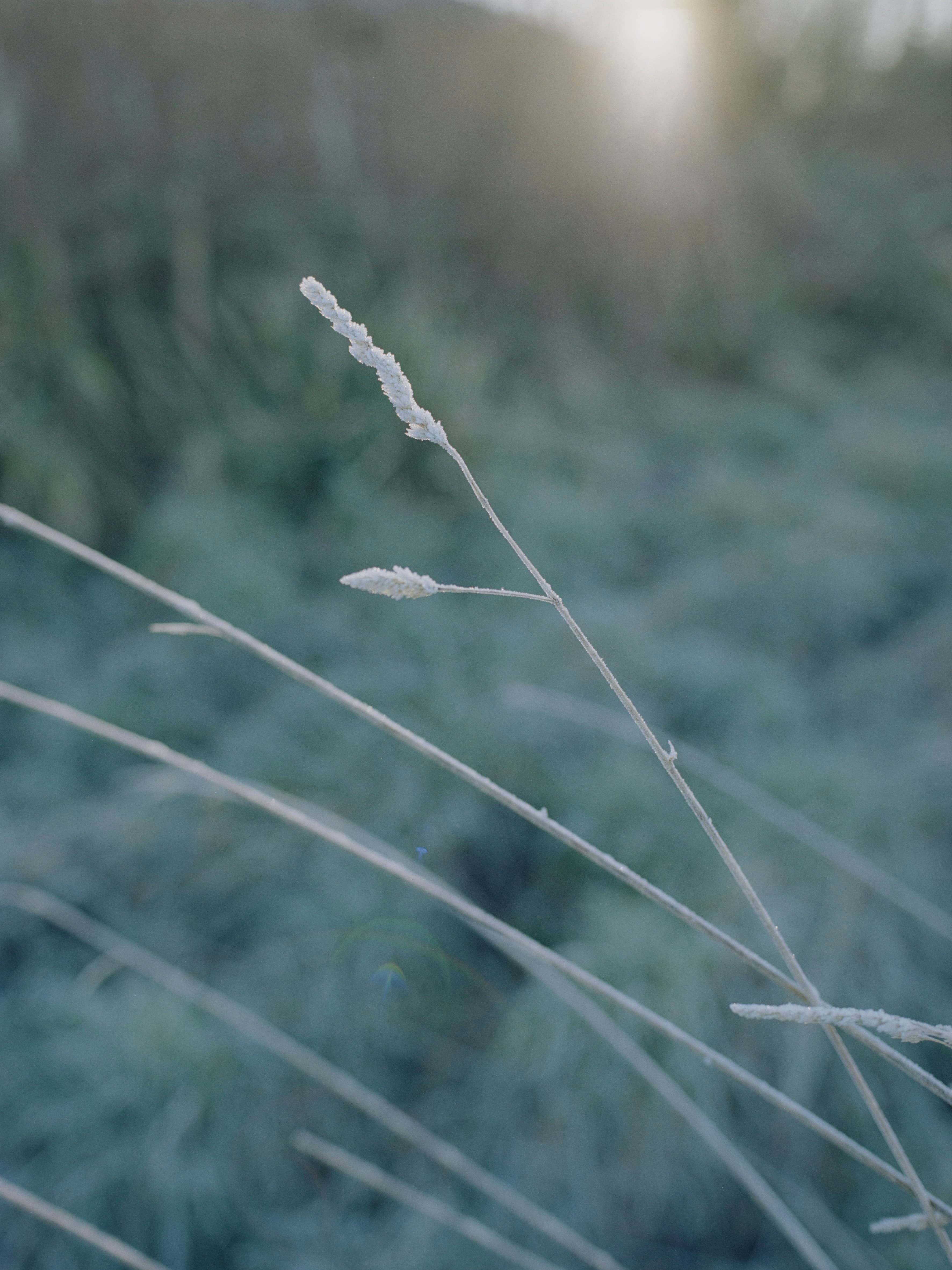 Aude Le Barbey Photographer for Various project
