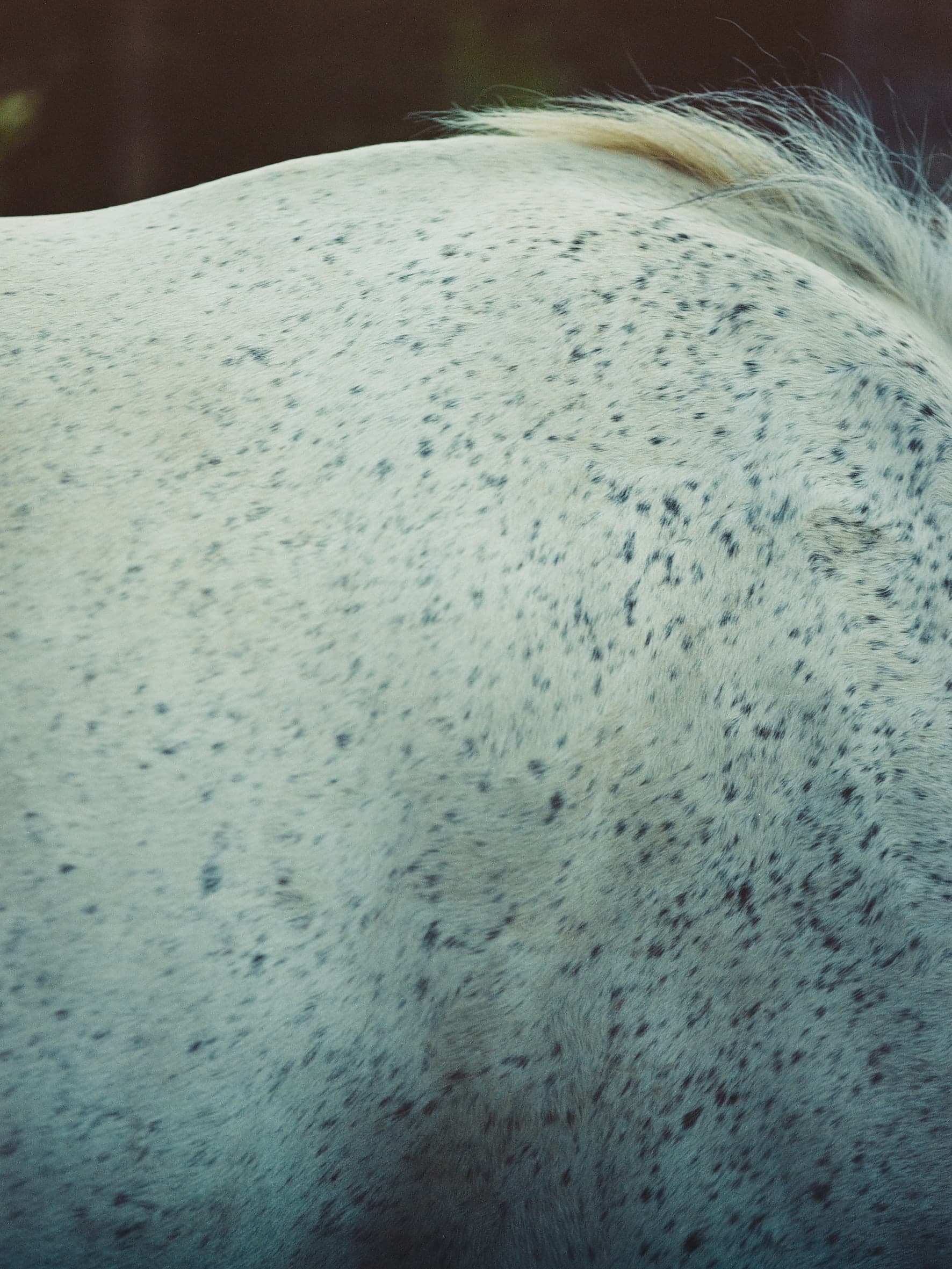 Aude Le Barbey Photographer for Various project