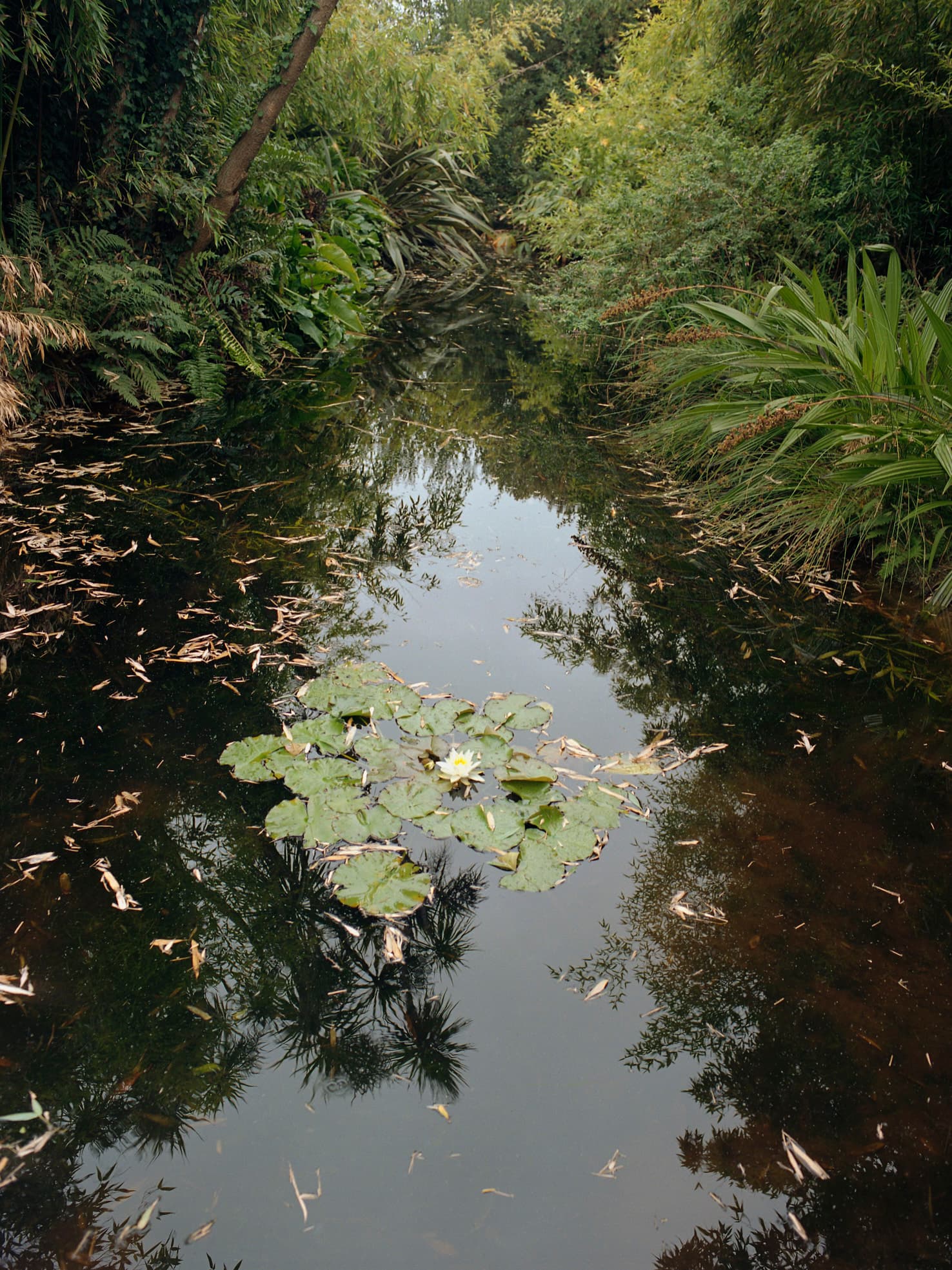 Aude Le Barbey Photographer for Various project