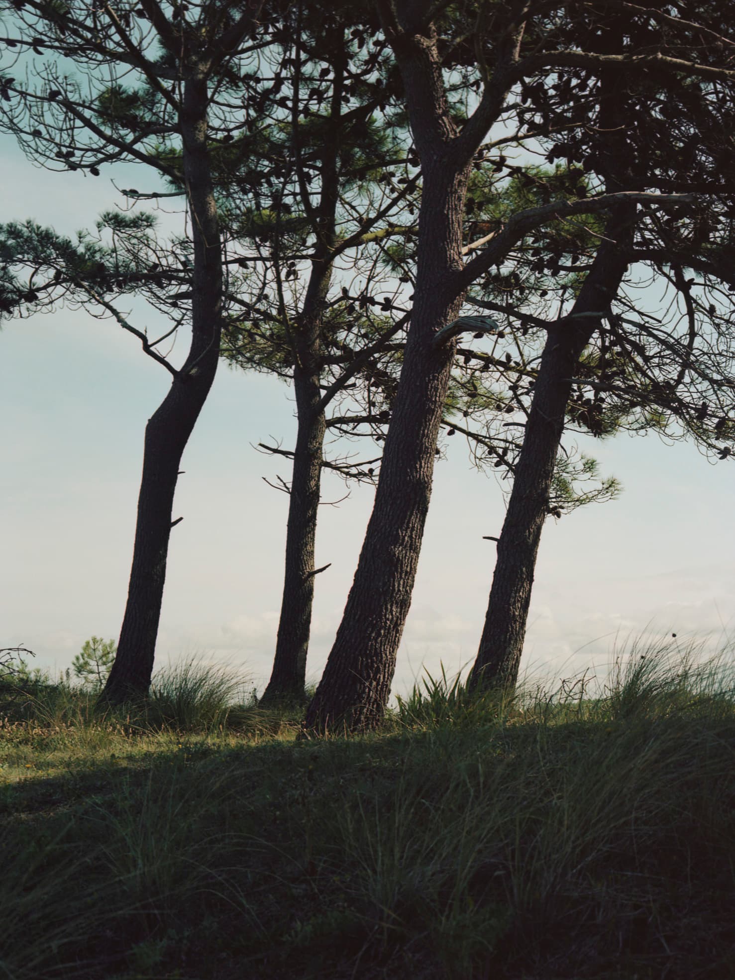 Aude Le Barbey Photographer for Various project