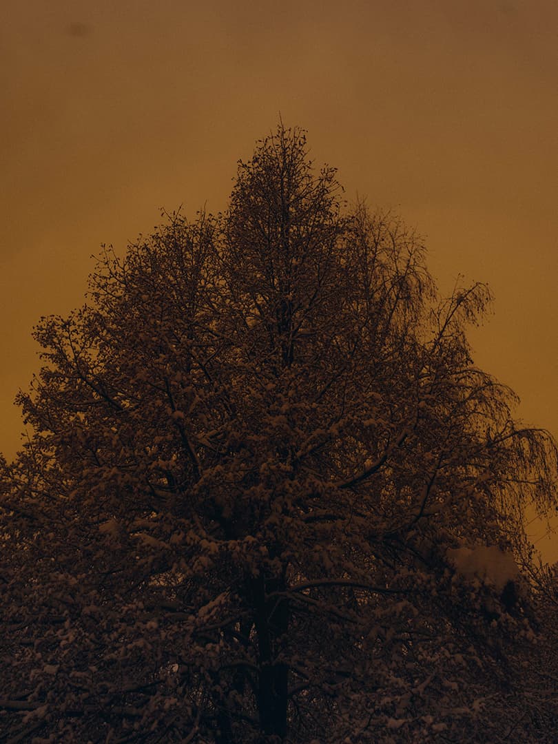 Charlotte Lapalus Photographer for Marlène, Libraryman edition