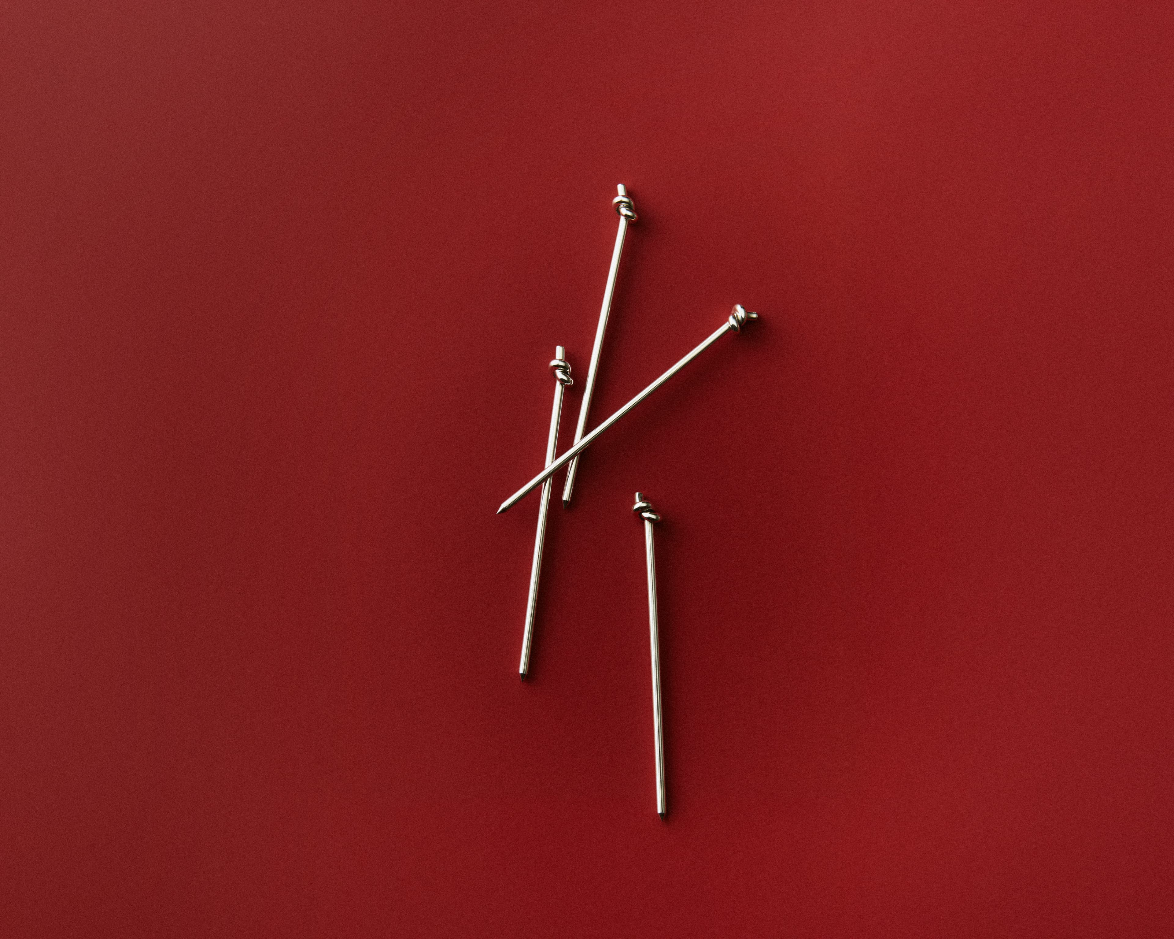 Giulia Querenghi Stylist for Bottega Veneta