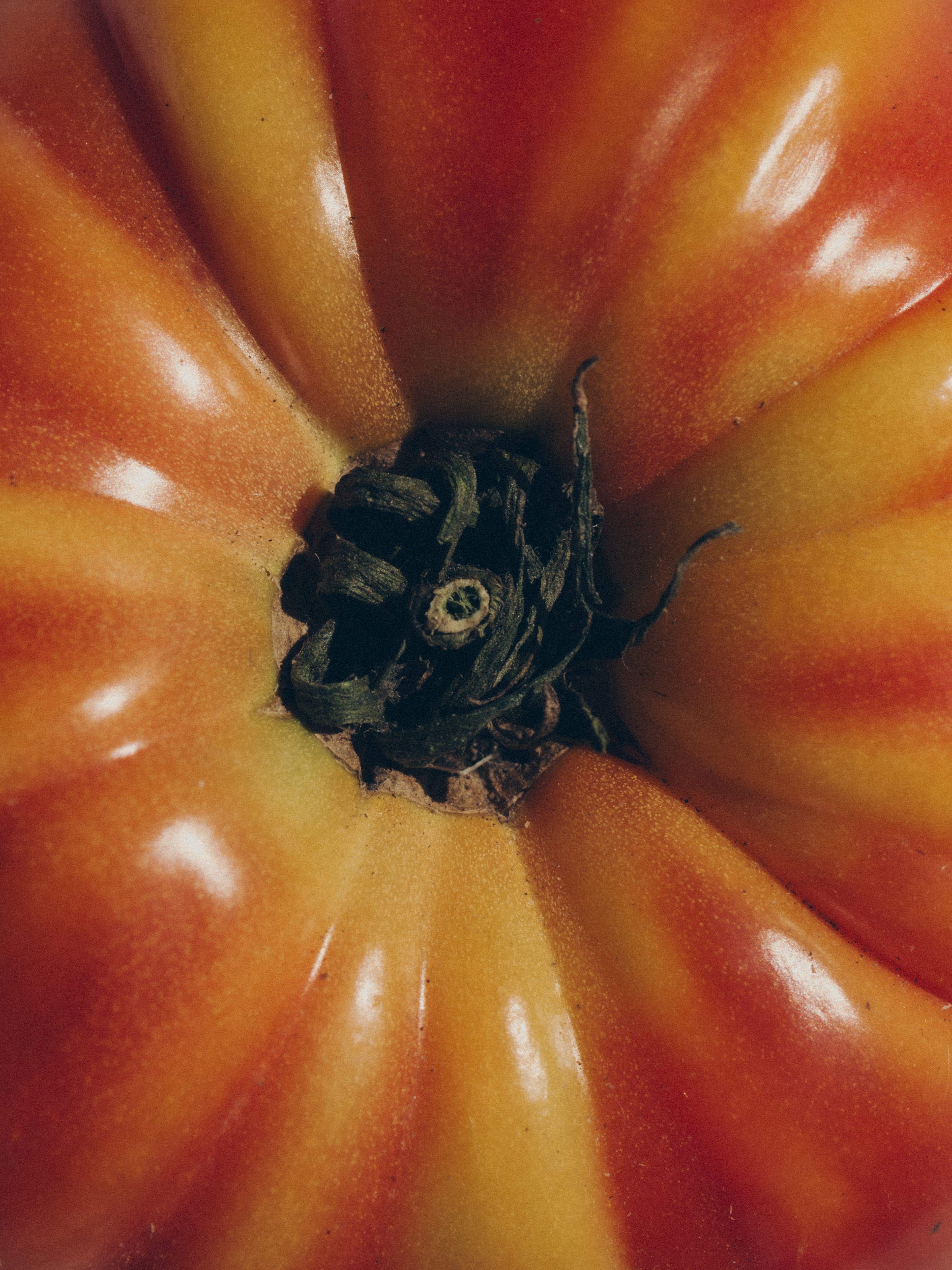 Giulia Querenghi Stylist for Cose Journal