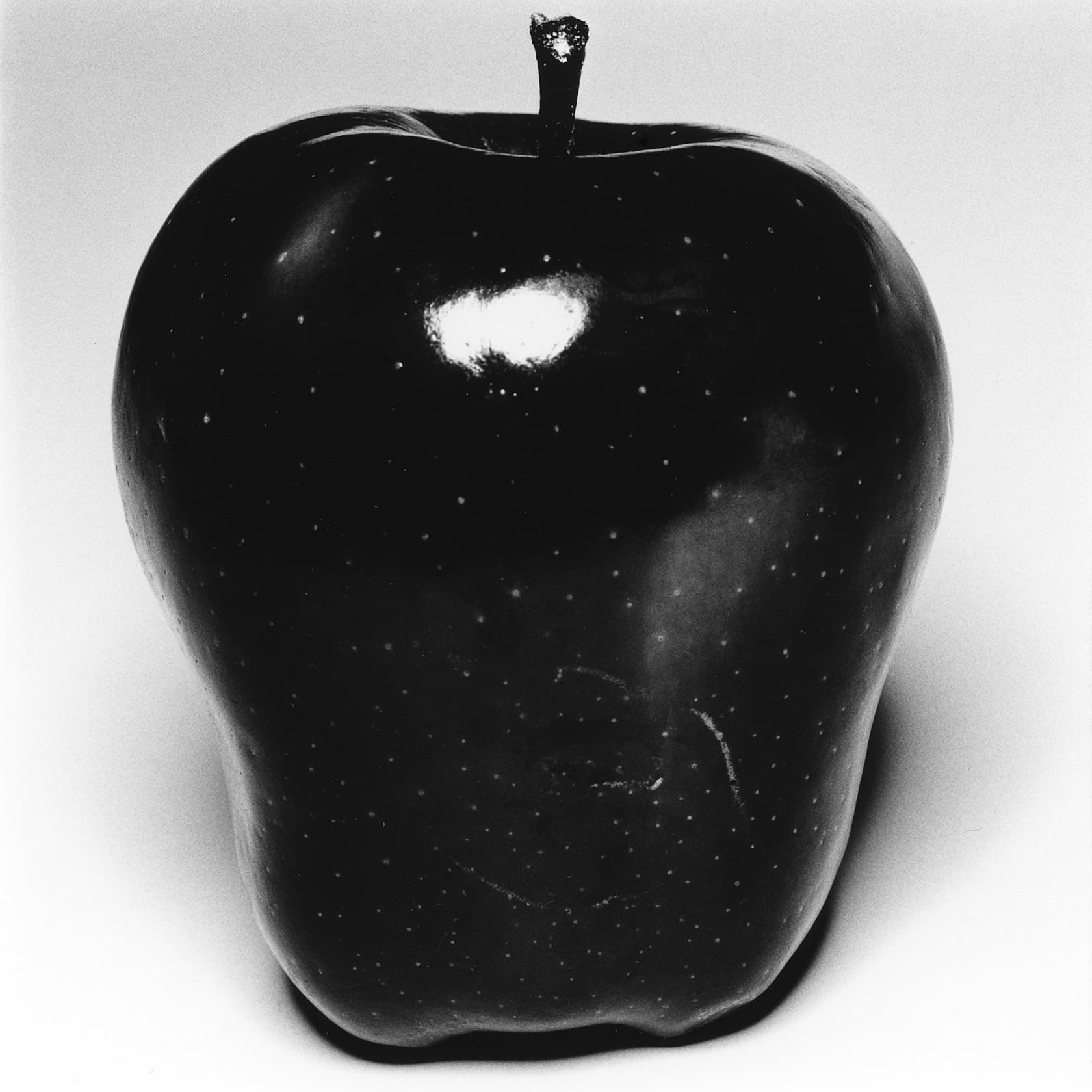 Michele Di Dio Photographer for Atmos