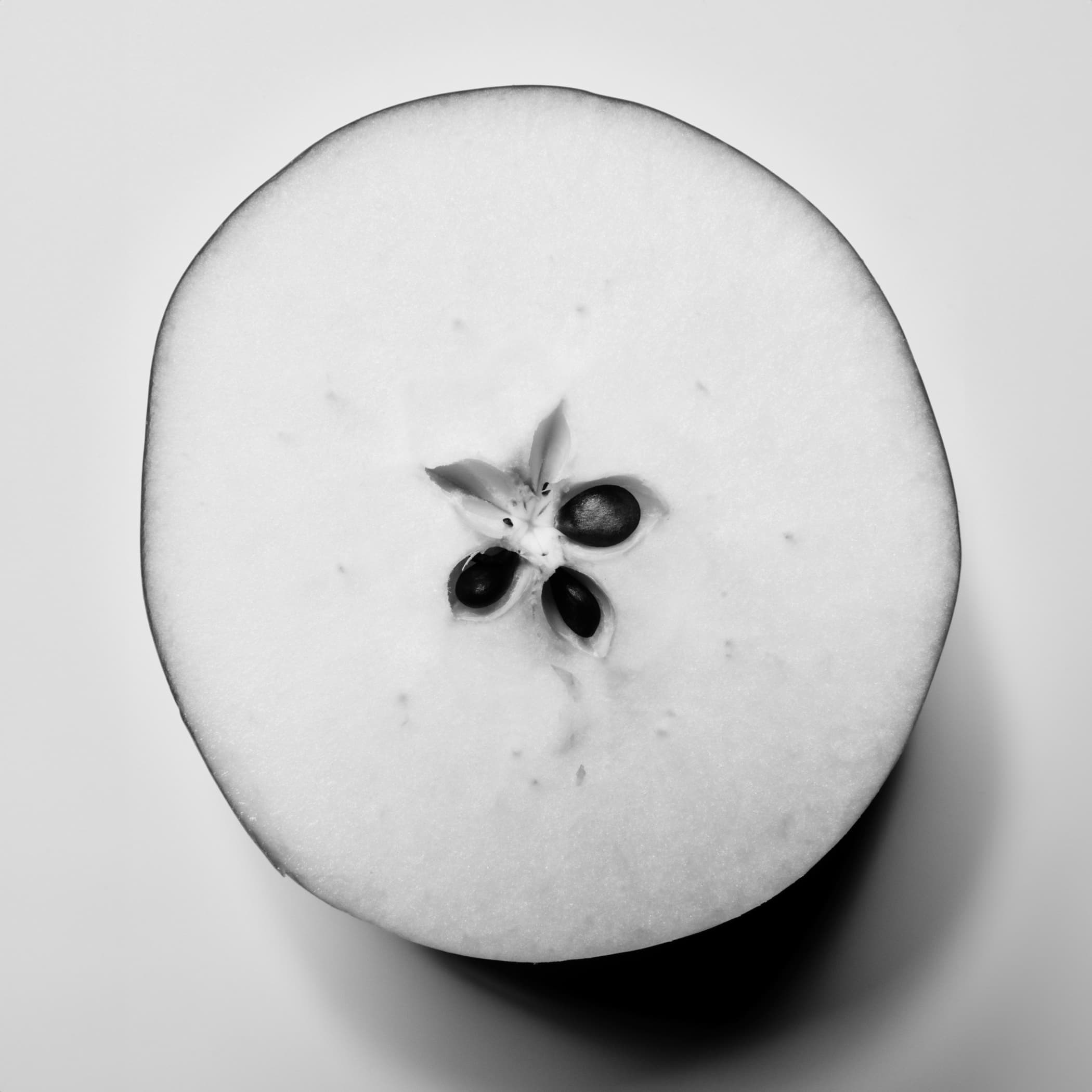 Michele Di Dio Photographer for Atmos