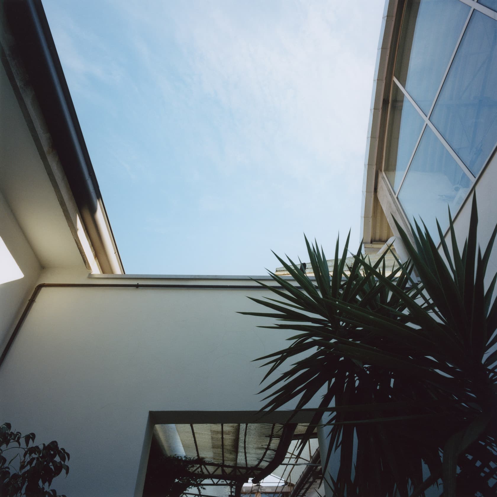 Michele Di Dio Photographer for Jil Sander