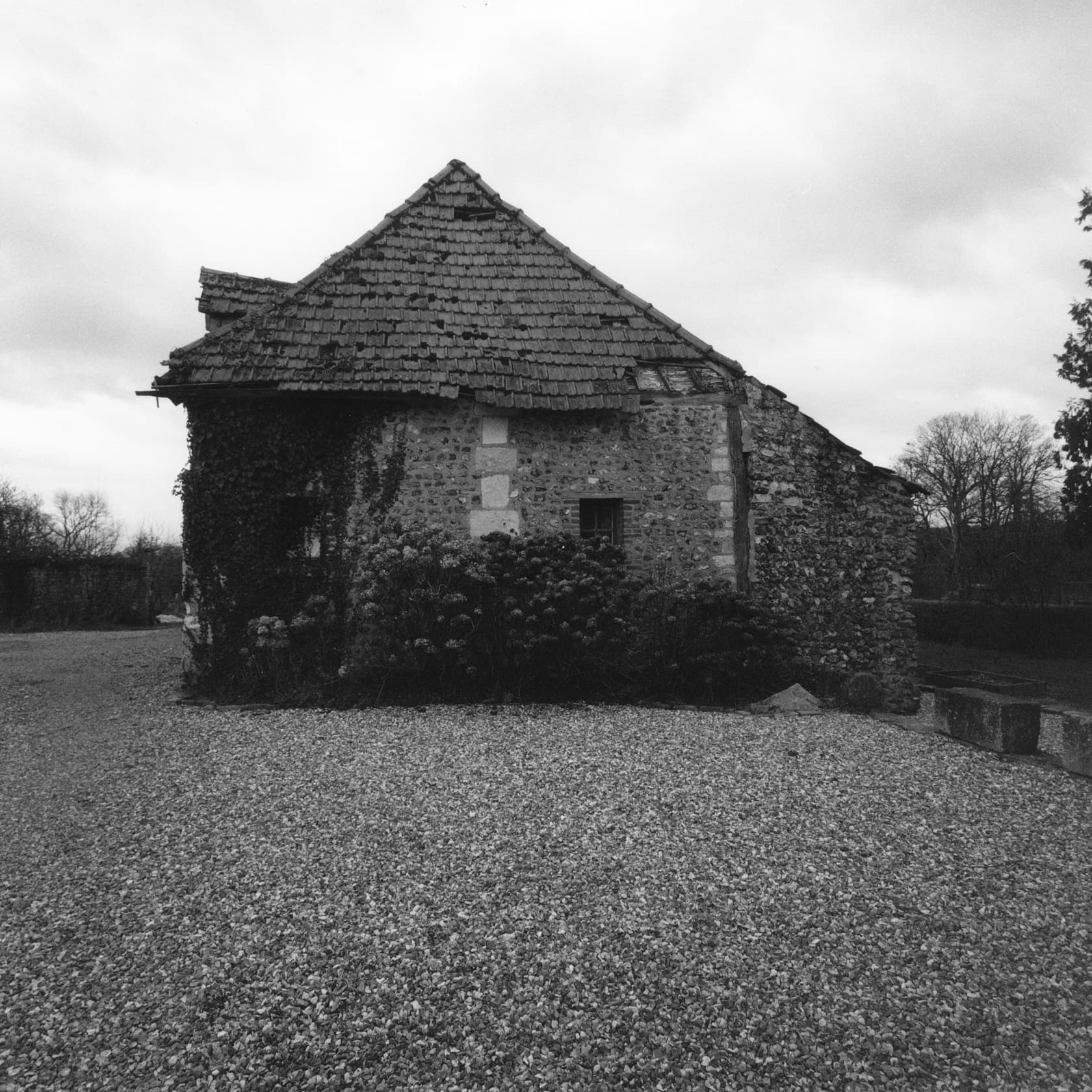 Michele Di Dio Photographer for Various work