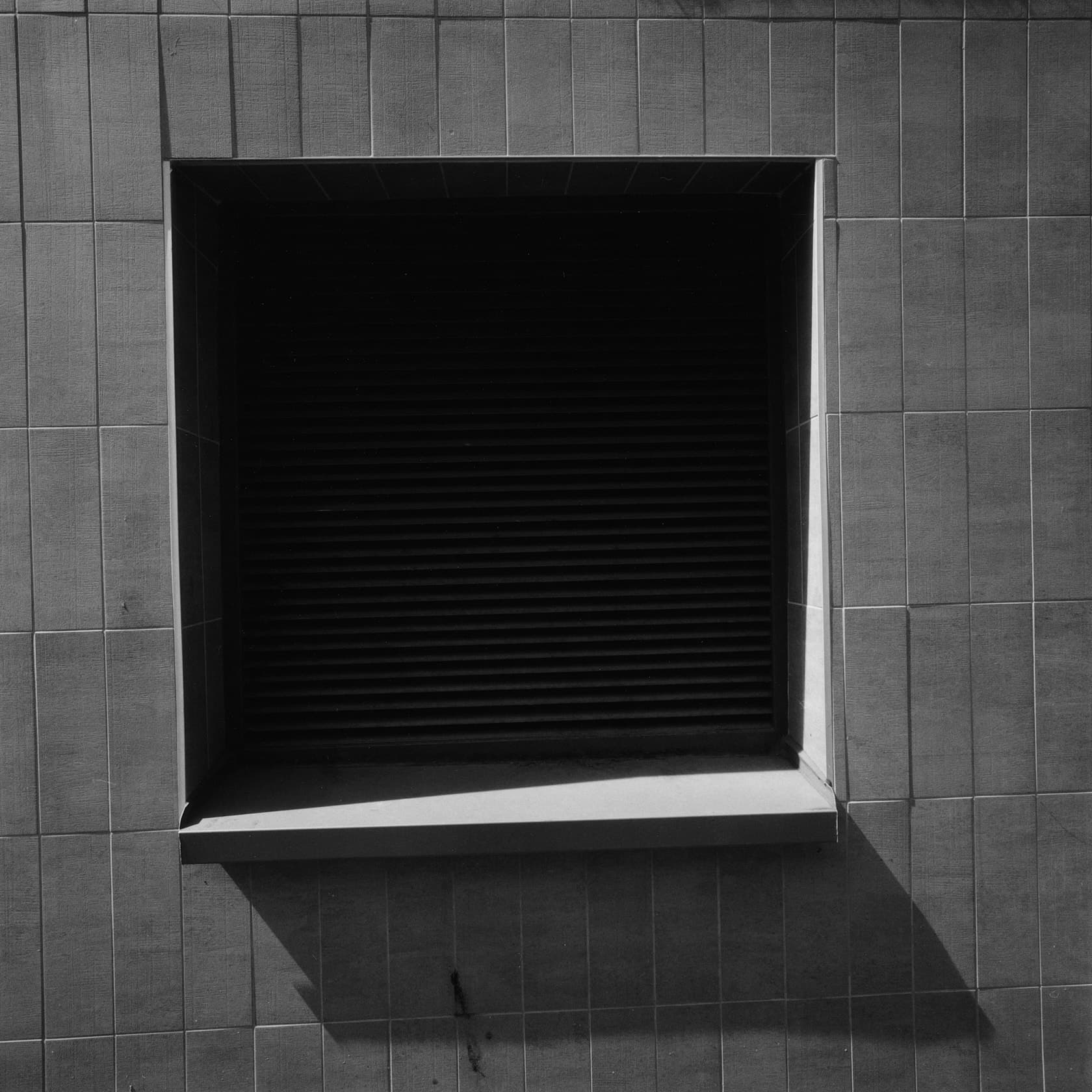 Michele Di Dio Photographer for Various work